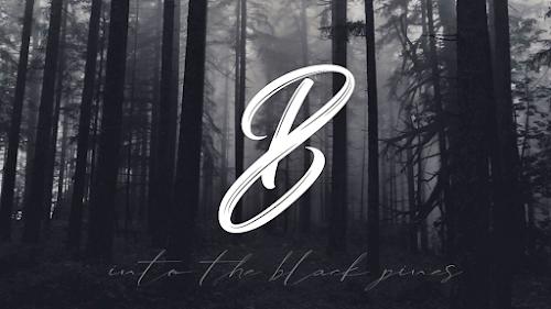 Black Pines Gallery