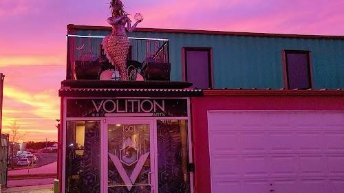 Volition Arts