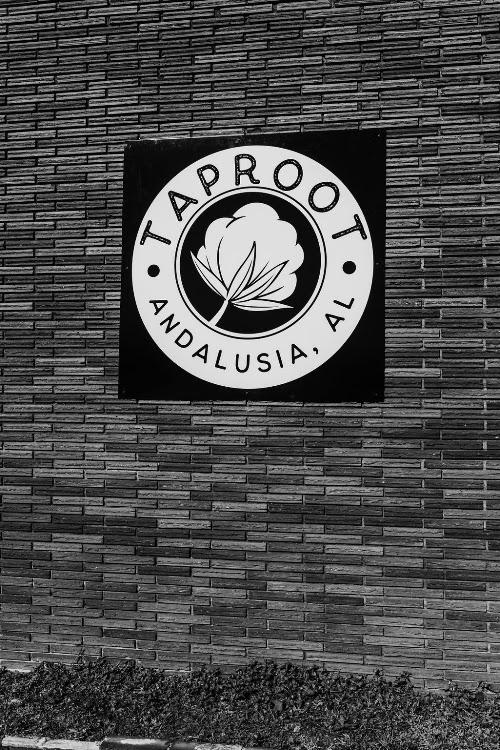 Taproot Tattoo Studio