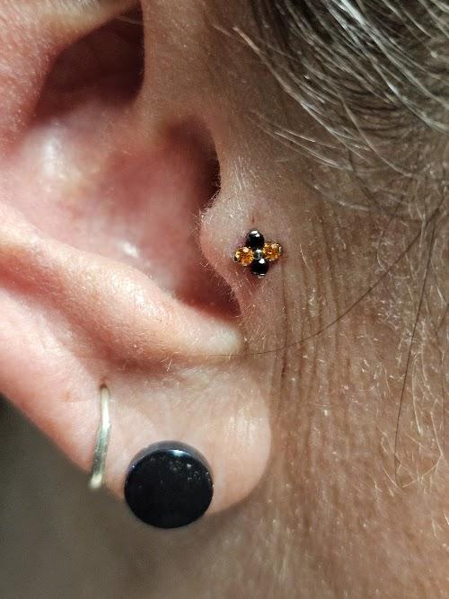Piercings By Sarver