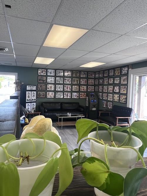 Perennial Art Company