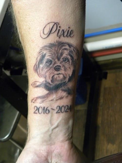 Springhorn Tattoo